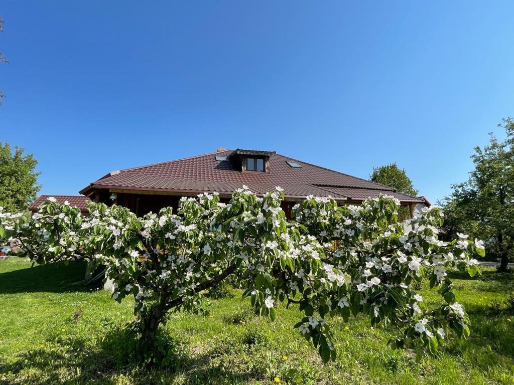 Hotel Agapia Agapescu Zewnętrze zdjęcie